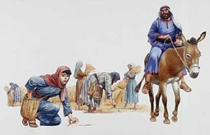 Boaz sees Ruth